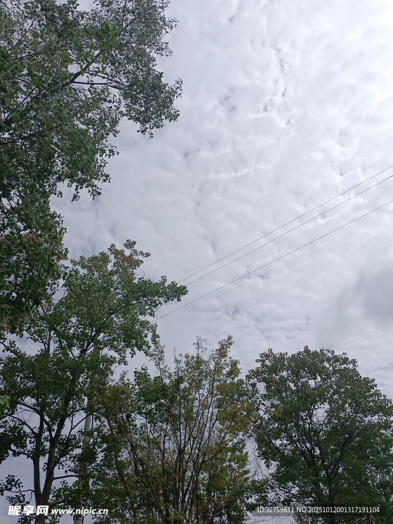 林间天空 