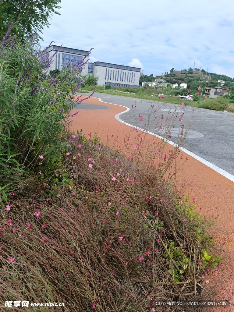 城市中多彩的花草步道