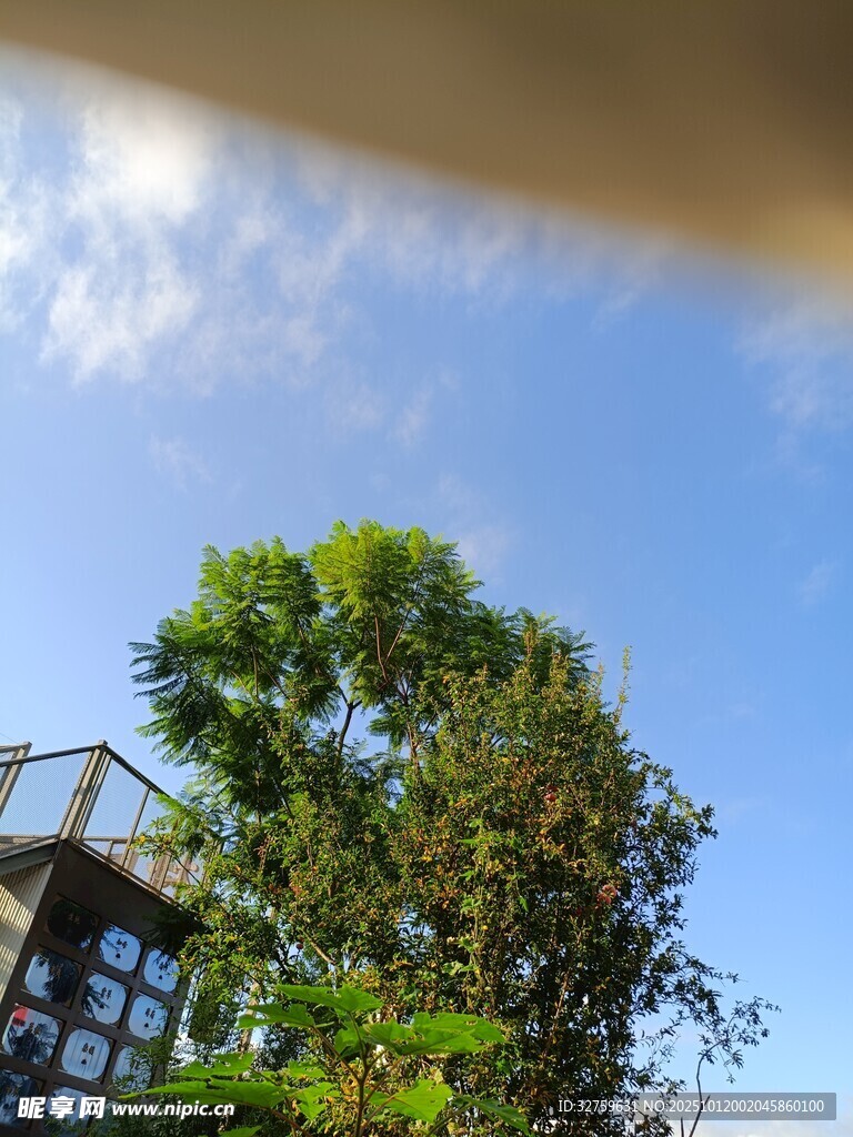 蓝天绿树旁的别致建筑