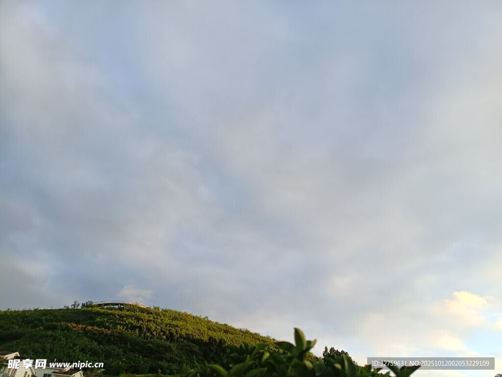 山坡上的天空与植被