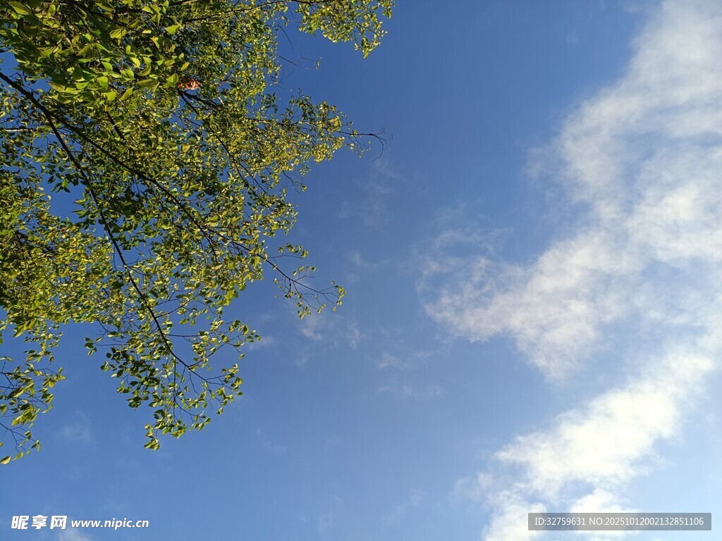 蓝天绿树间的美好景致