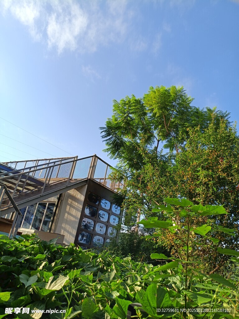 绿植环绕的别致建筑