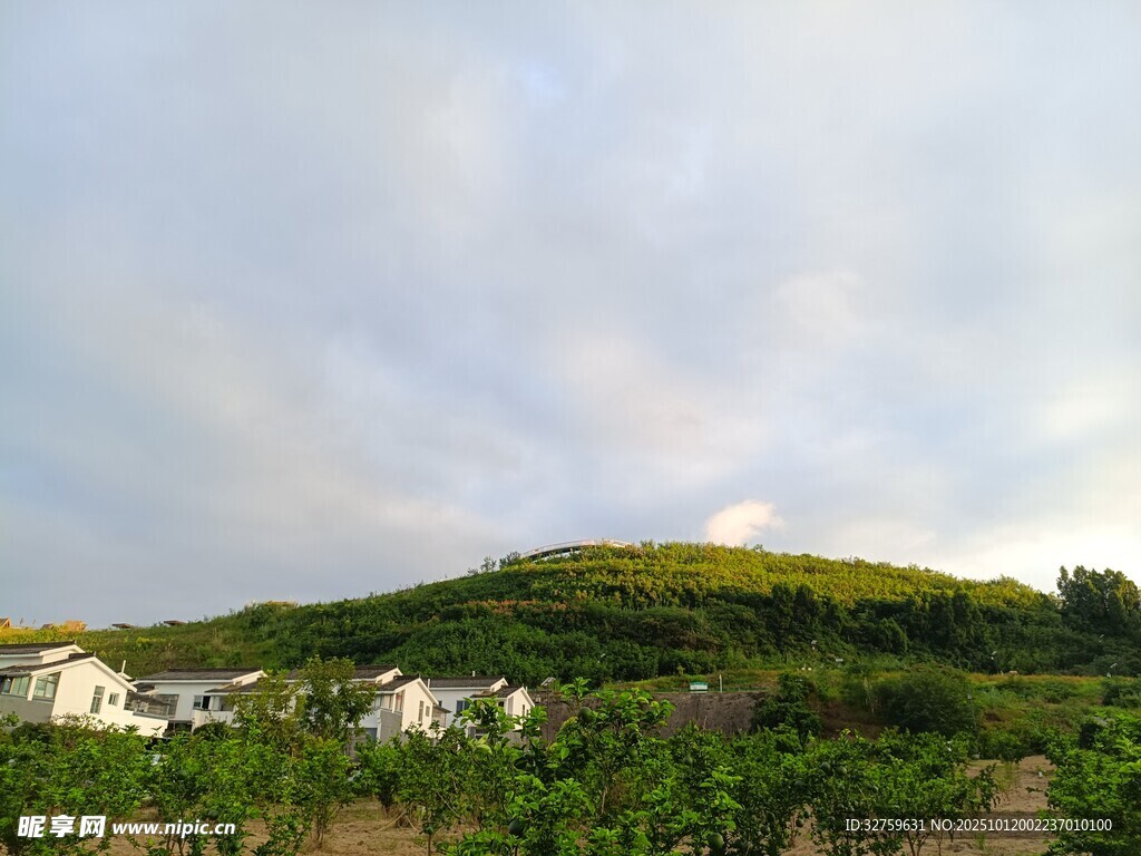 乡村绿野风光