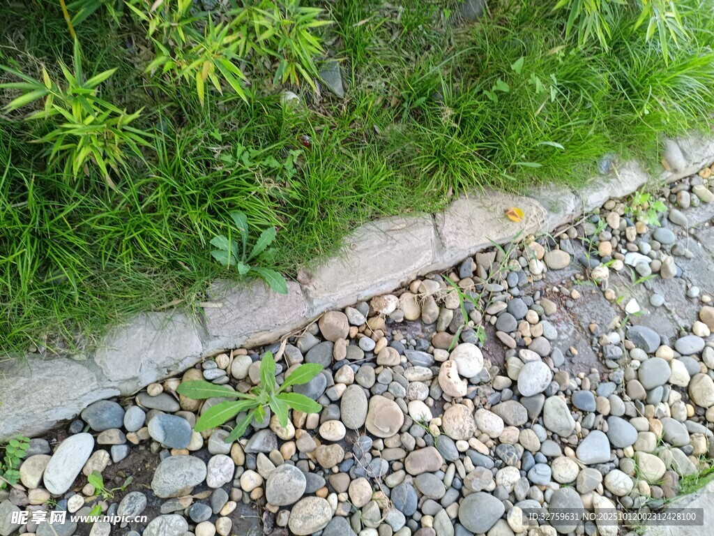 路边碎石与绿植景观