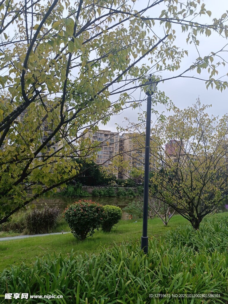 春日公园绿植景观