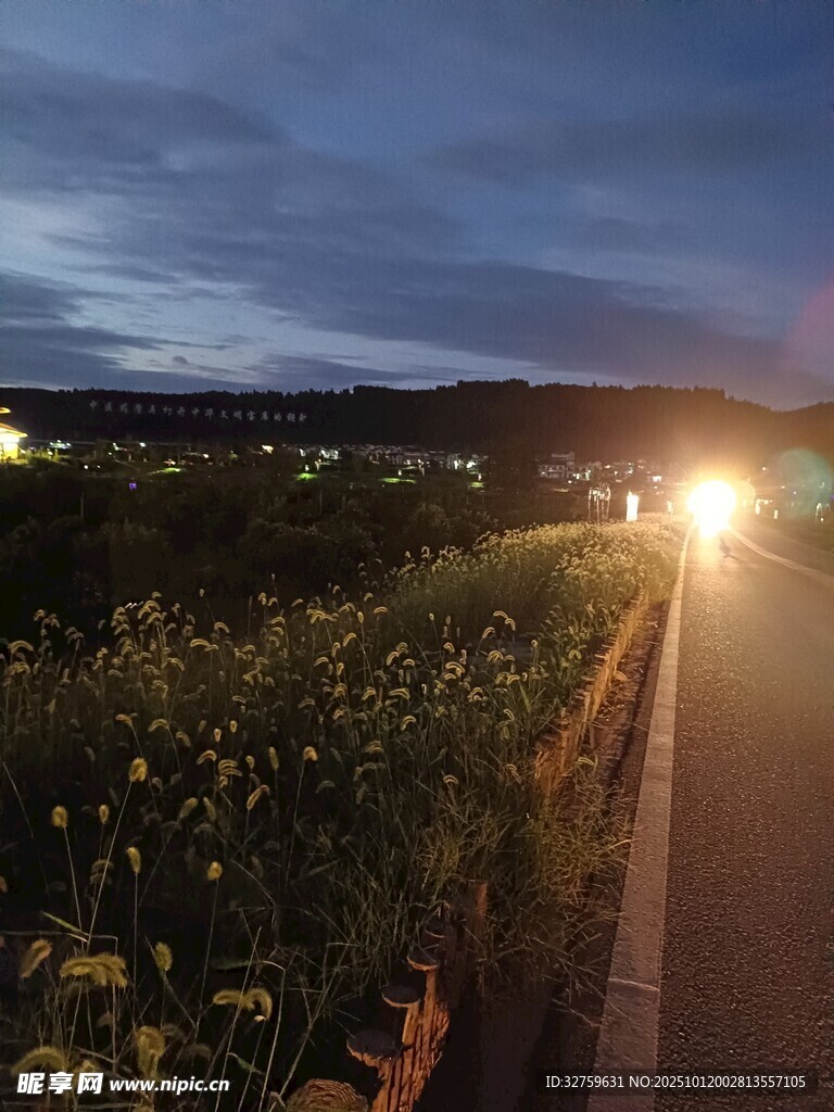 夜幕下的田间小路