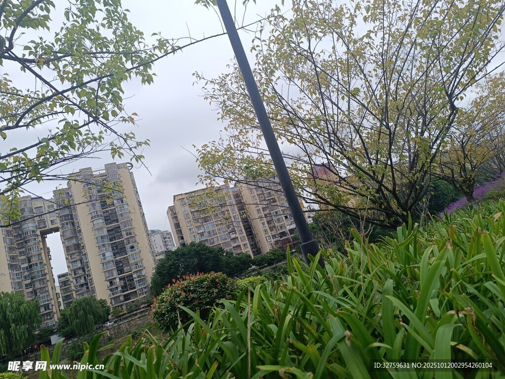 城市绿植旁的高楼景观