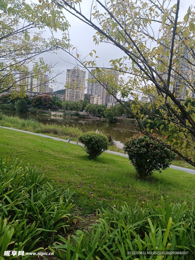 城市中的绿意盎然景观