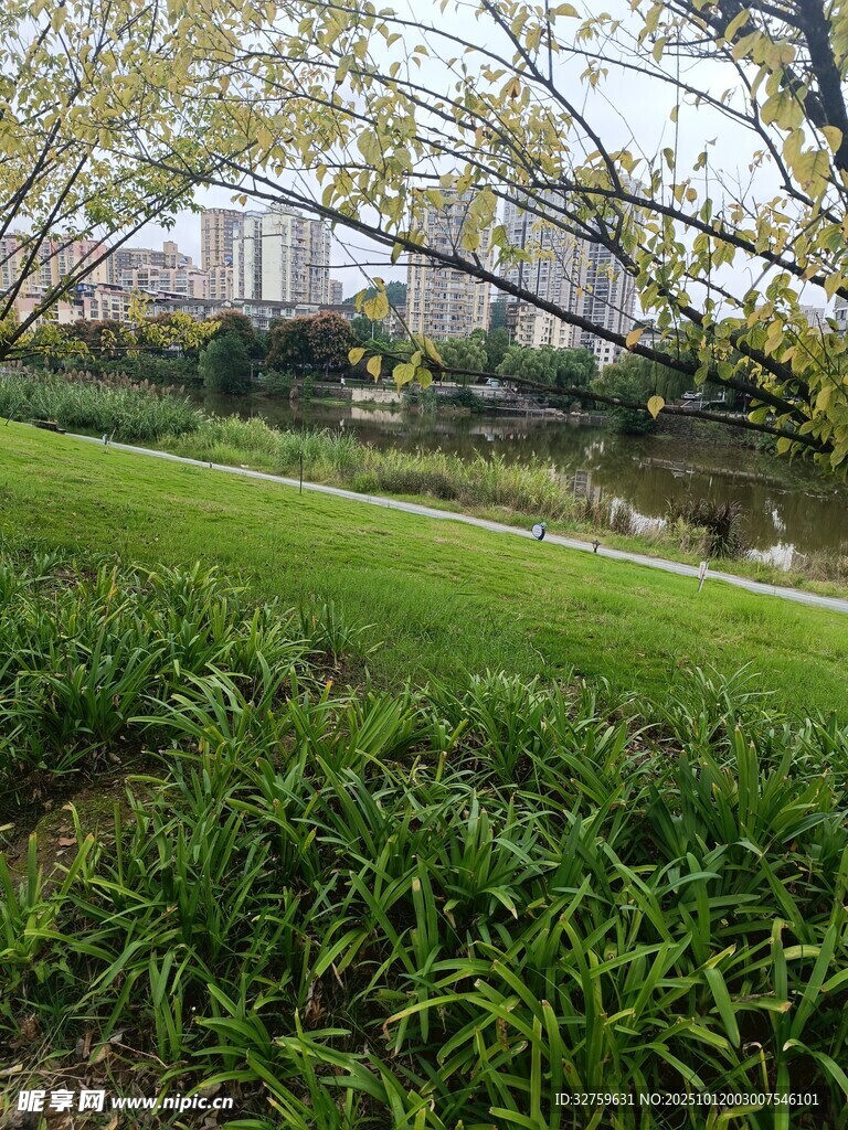 城市中的绿意盎然公园景致