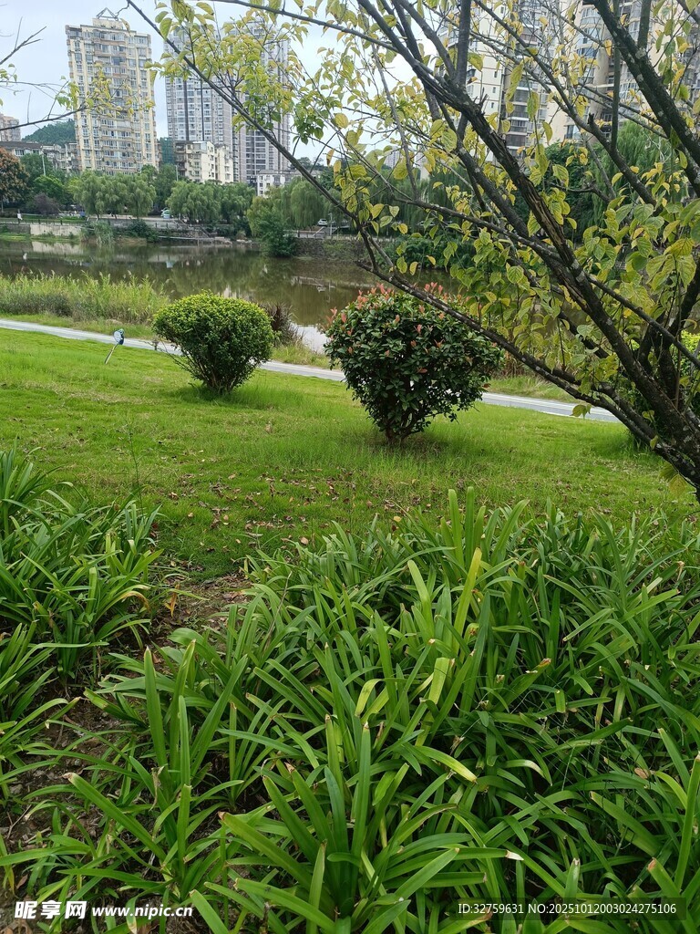 城市中的绿意盎然景观