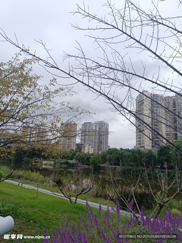 城市中的花园绿地景观