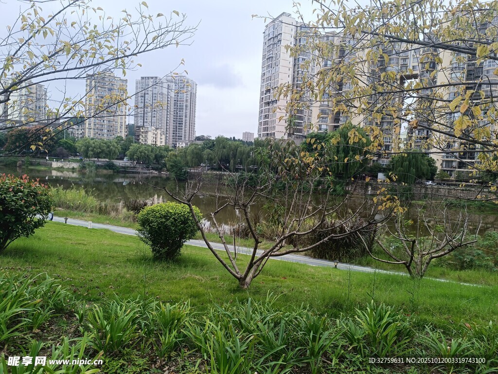 城市中的静谧绿化景观