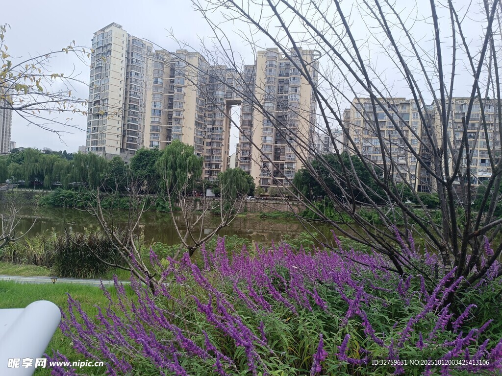 城市中繁花点缀的住宅区