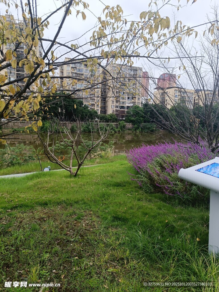 春日小区花园美丽景致