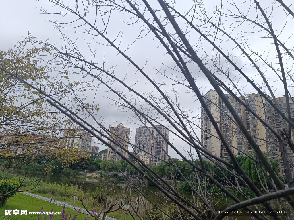城郊萧瑟景象