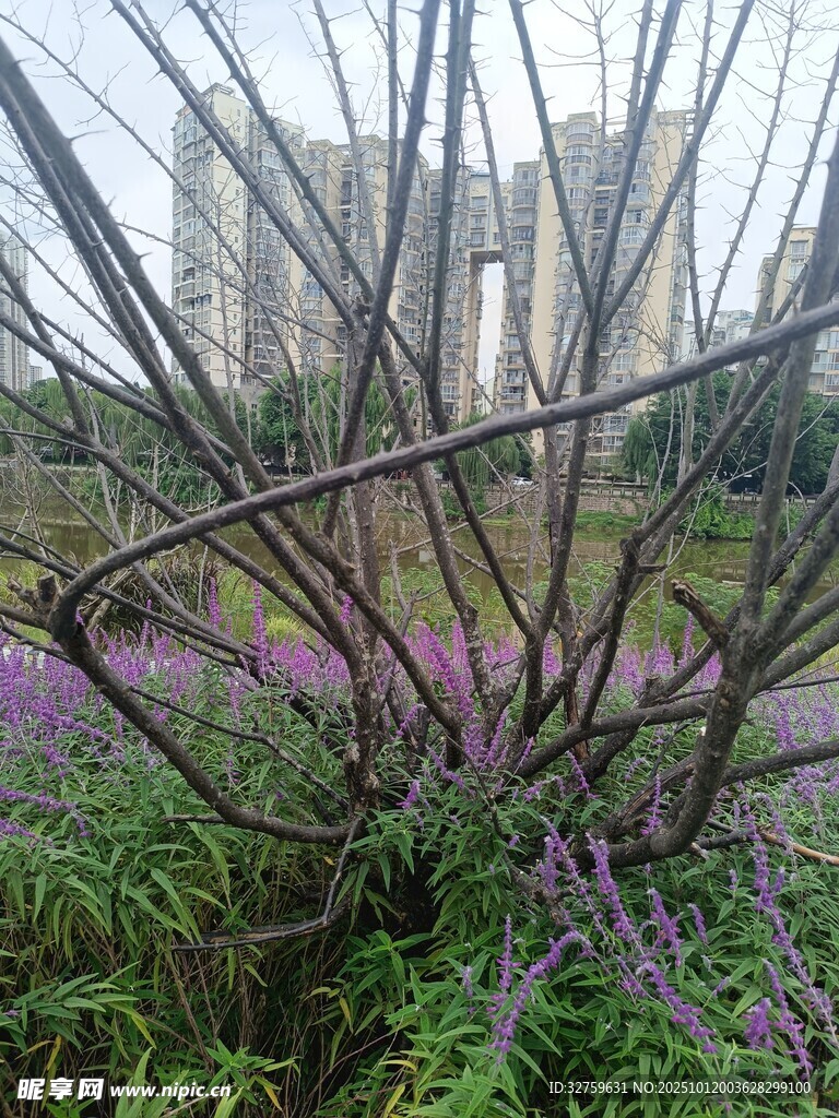 花园中的弯曲金属结构景观