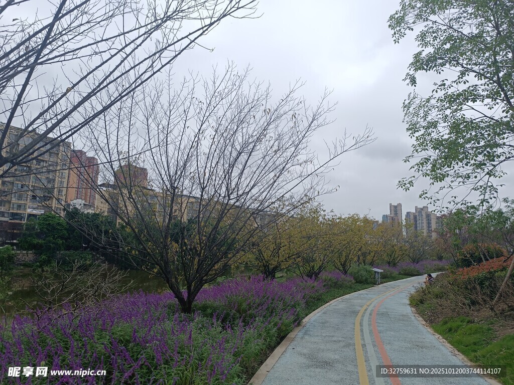 春日繁花伴小路美景
