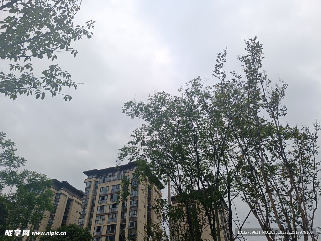 绿树环绕的多层建筑