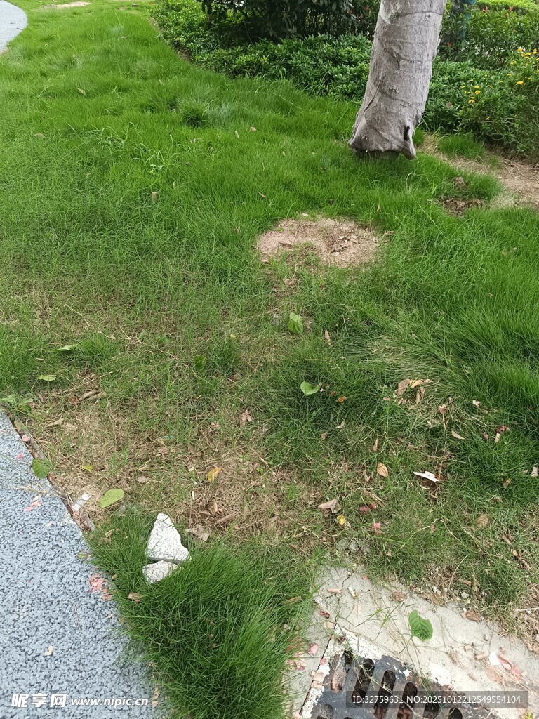 路边草地垃圾场景