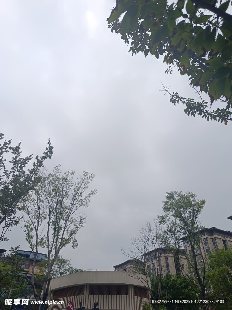 阴天校园建筑与树木景观