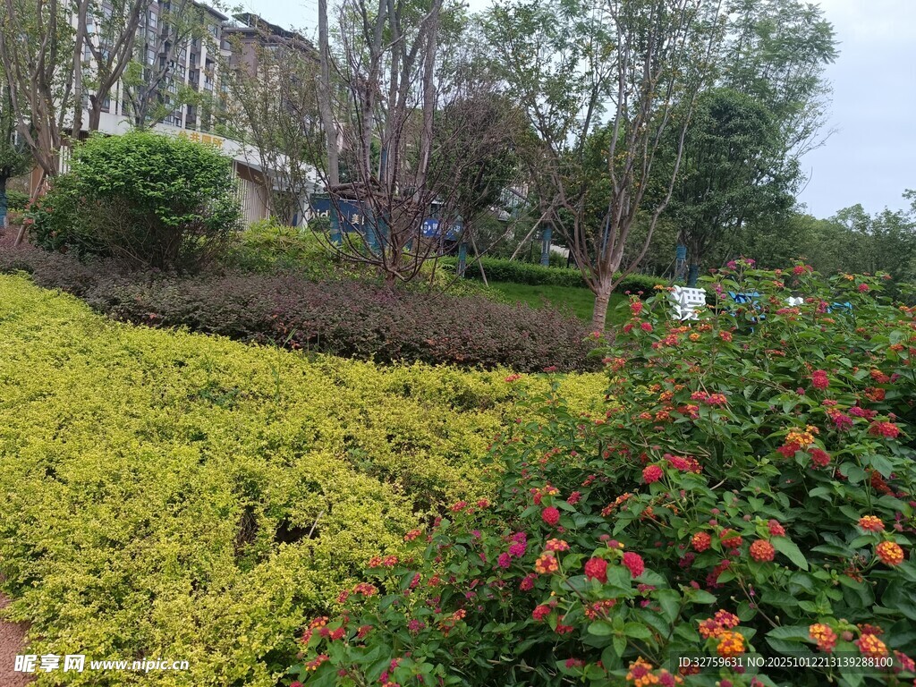 多彩花卉装点的美丽景观