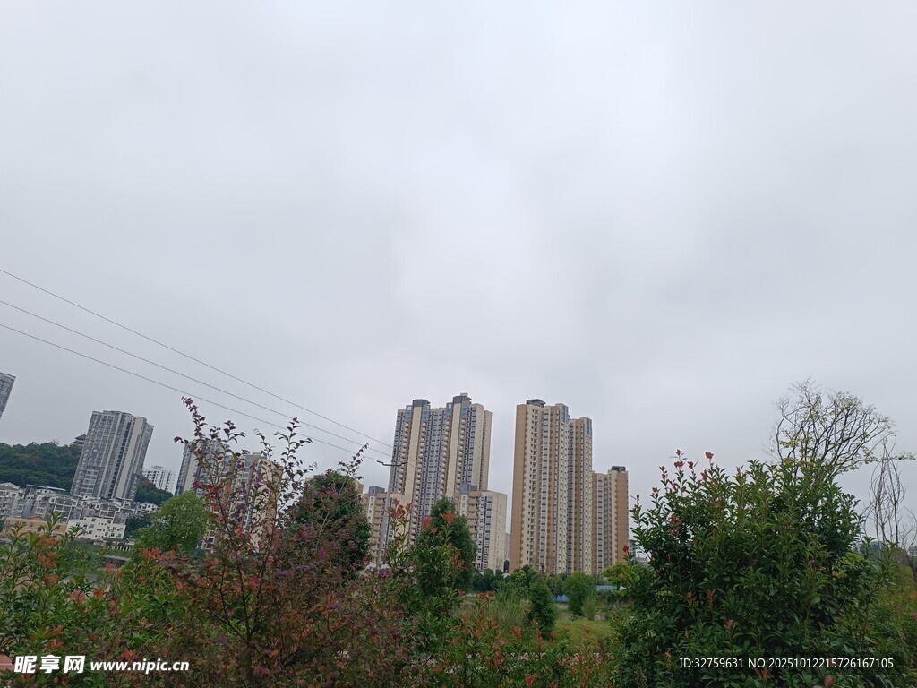 城市高楼与绿植景观