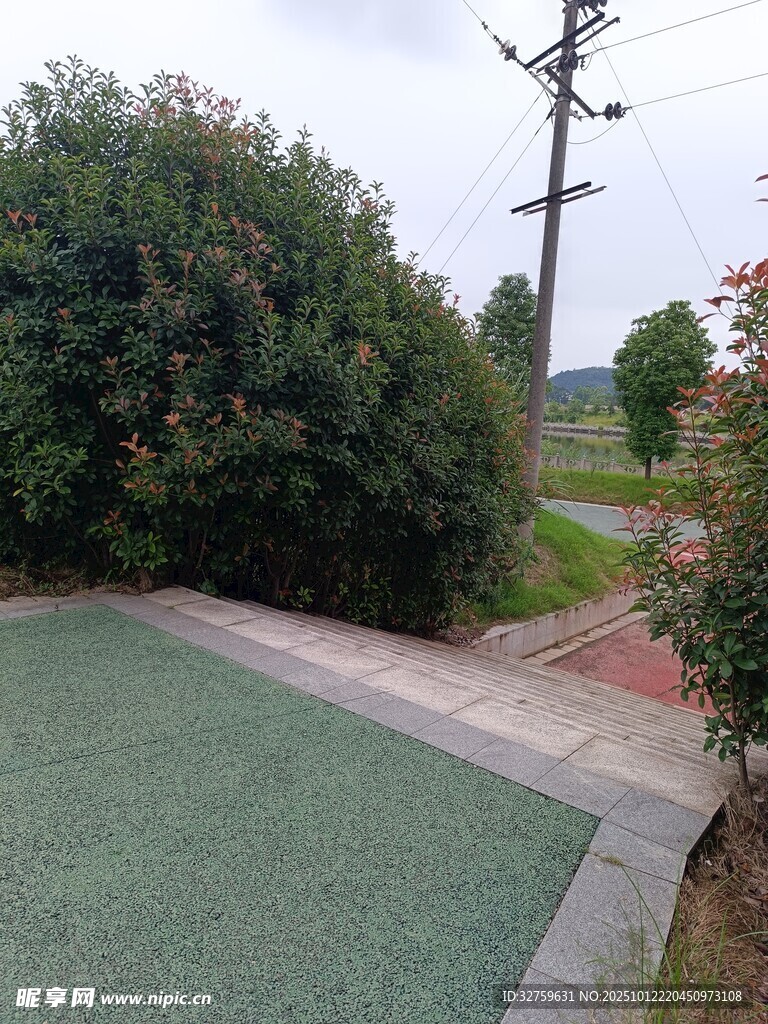 户外绿植环绕的休闲场地