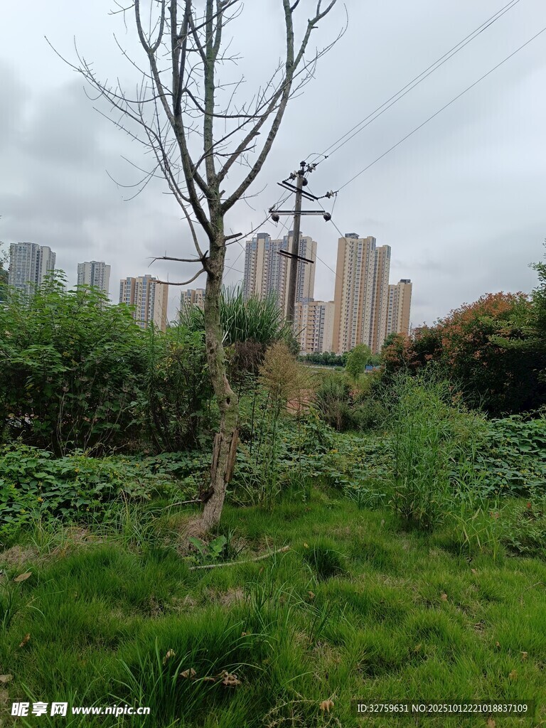 城郊荒野景象