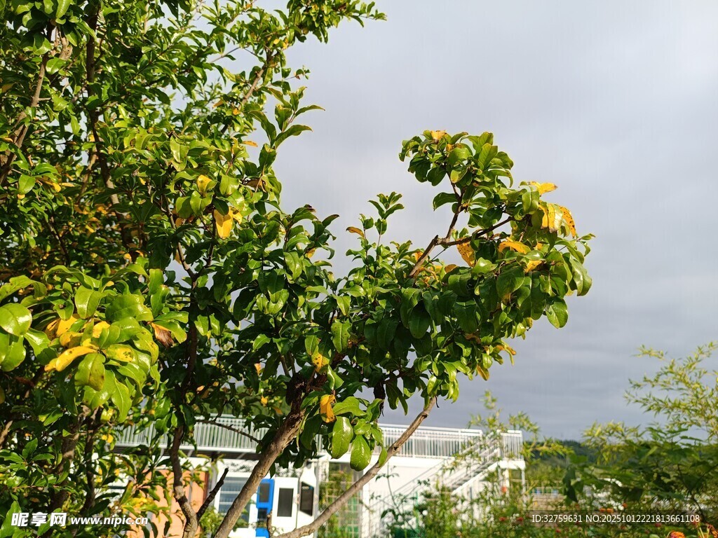 绿树蓝天旁的建筑一角