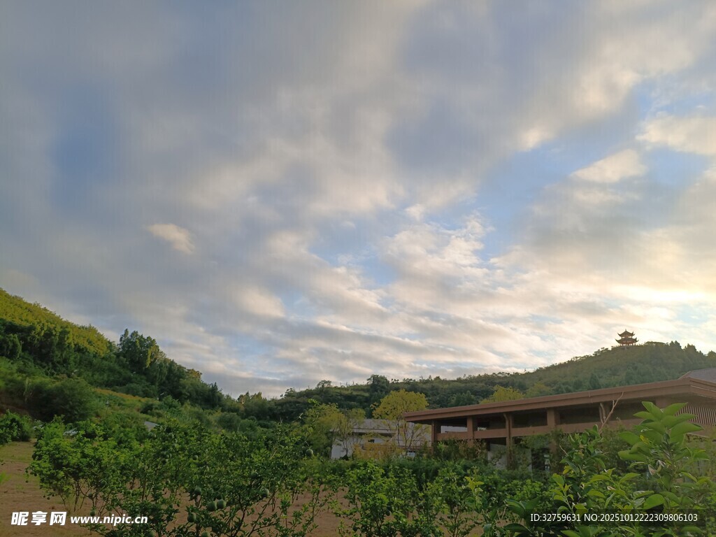 田园风光中的宁静农场景象