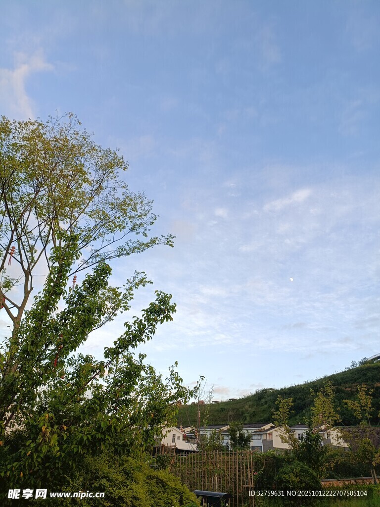 蓝天绿树间的乡村景致