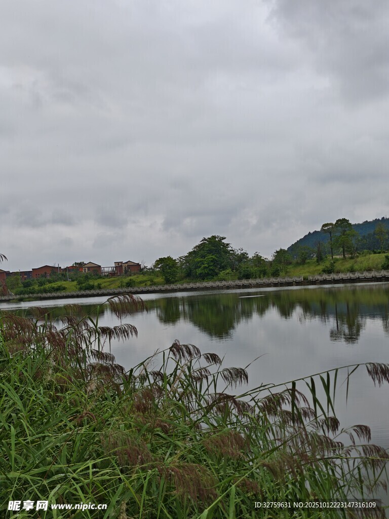 湖畔湿地风景