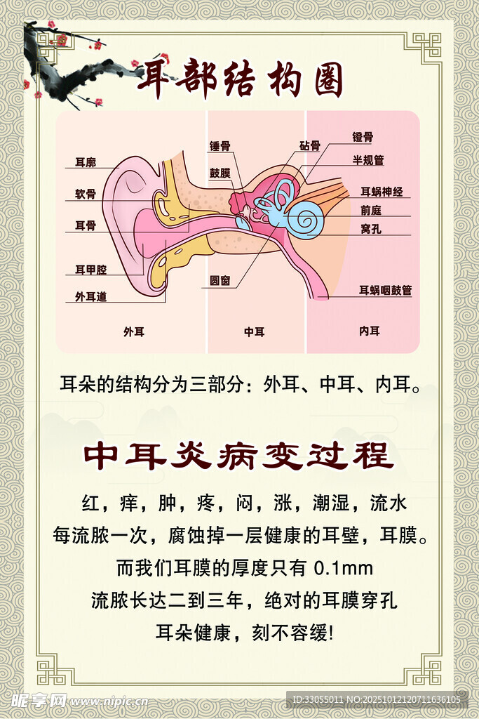 耳部解剖结构示意图