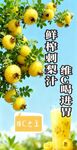 鲜榨刺梨汁