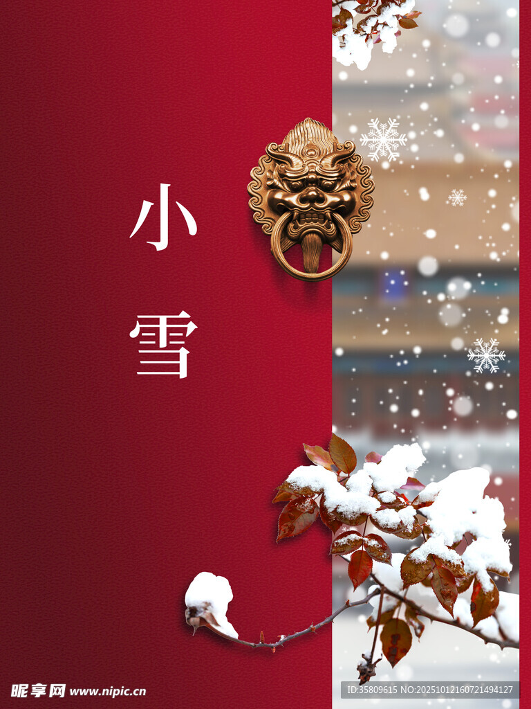 小雪时节 枝头覆雪美景