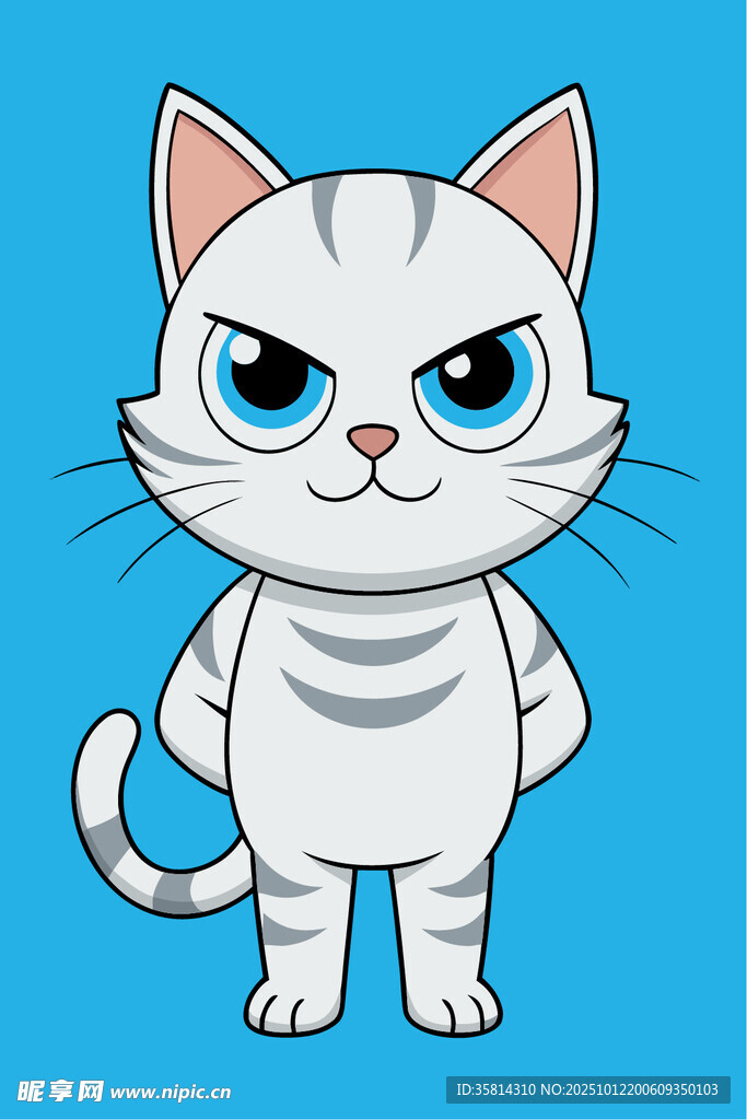 愤怒小猫