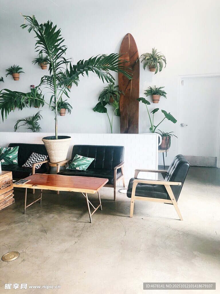 室内绿植与休闲家具场景