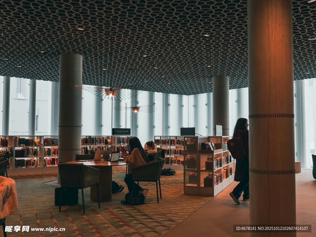 图书馆内的静谧阅读场景