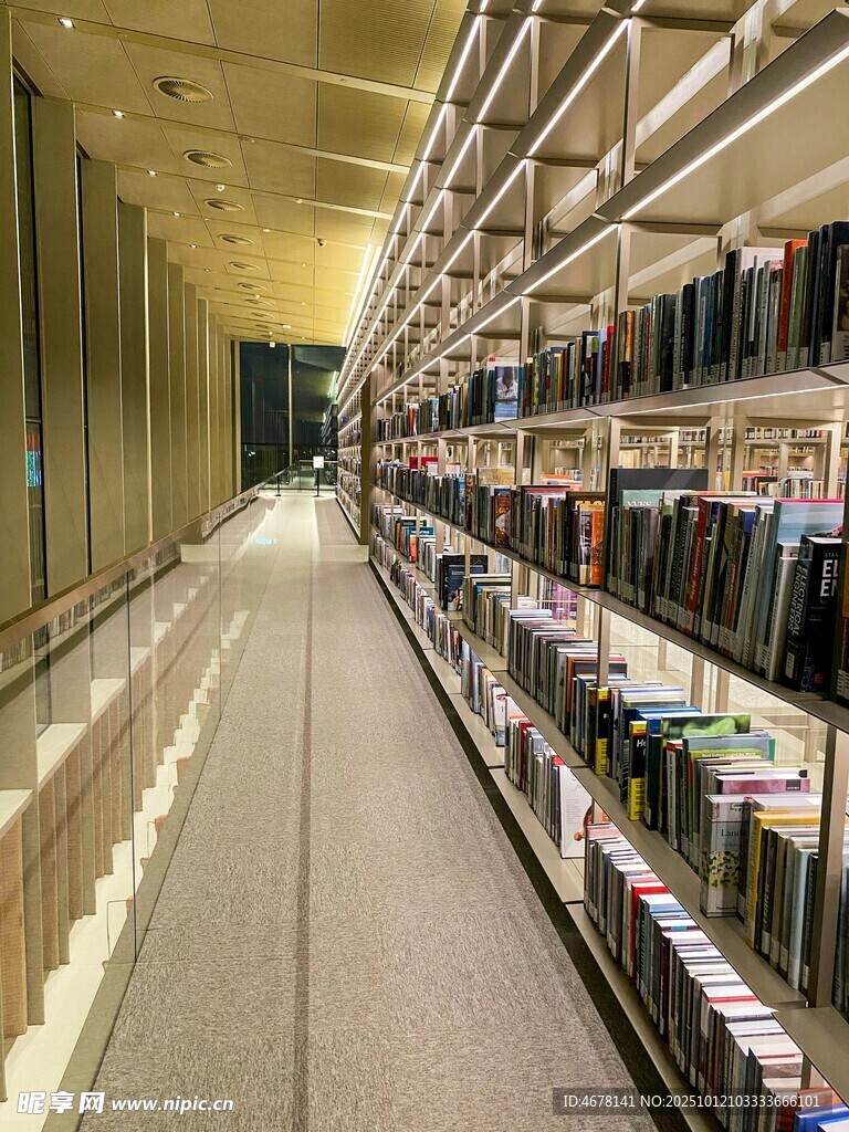 图书馆内整齐的书架陈列