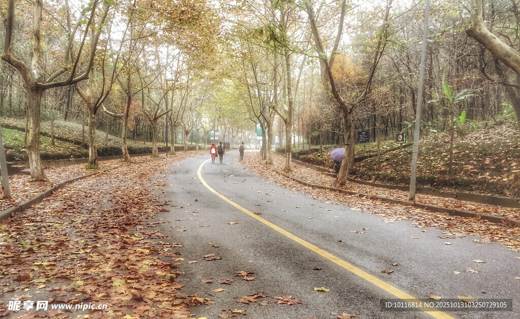 秋日道路
