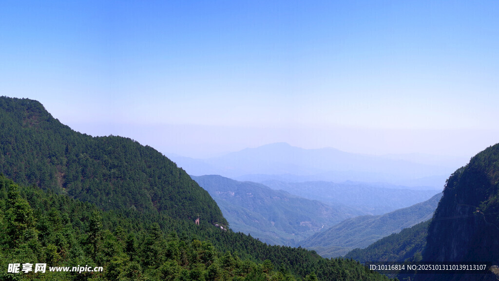 青山景观