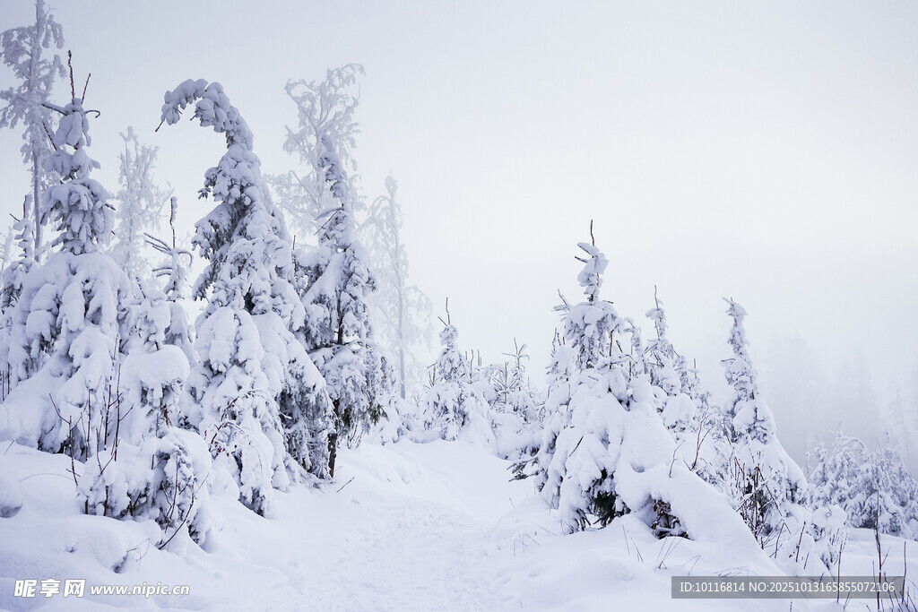 雪山