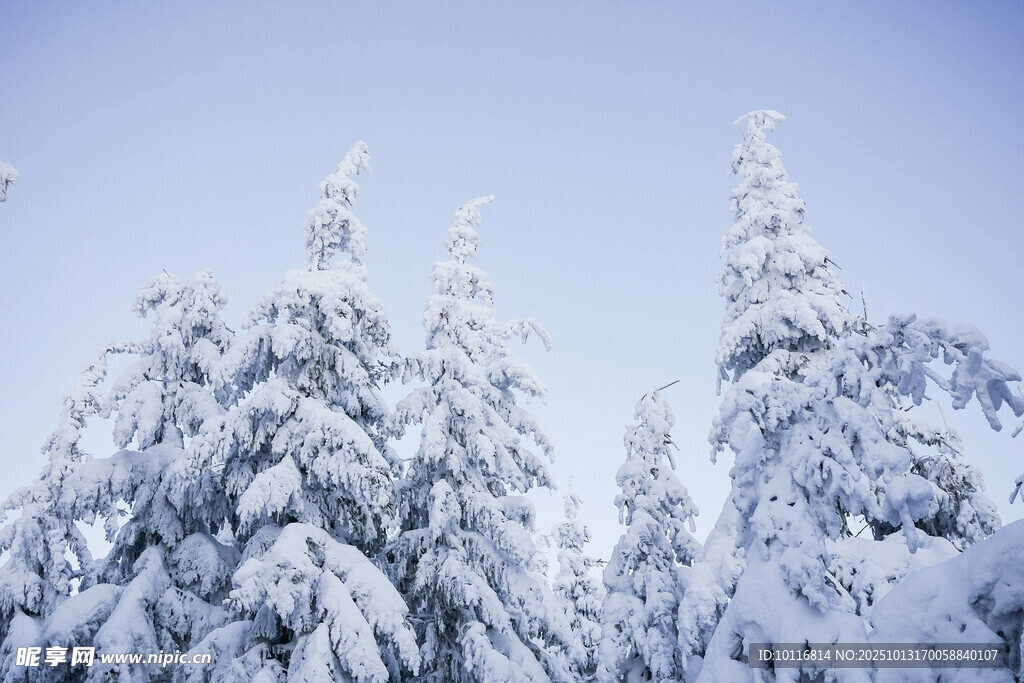 雪山