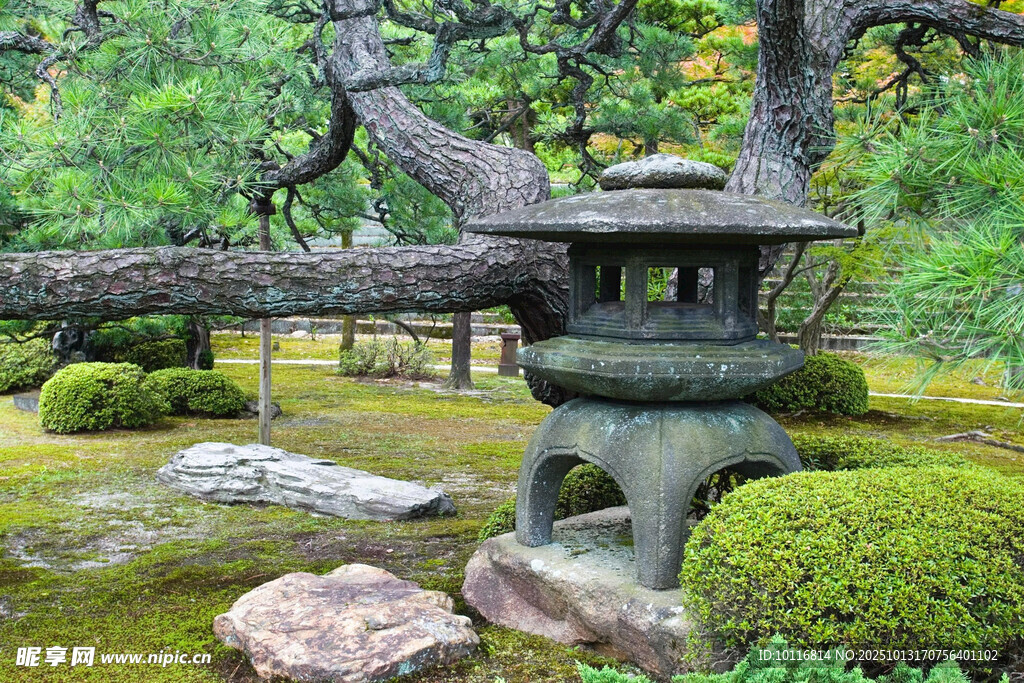 庭院