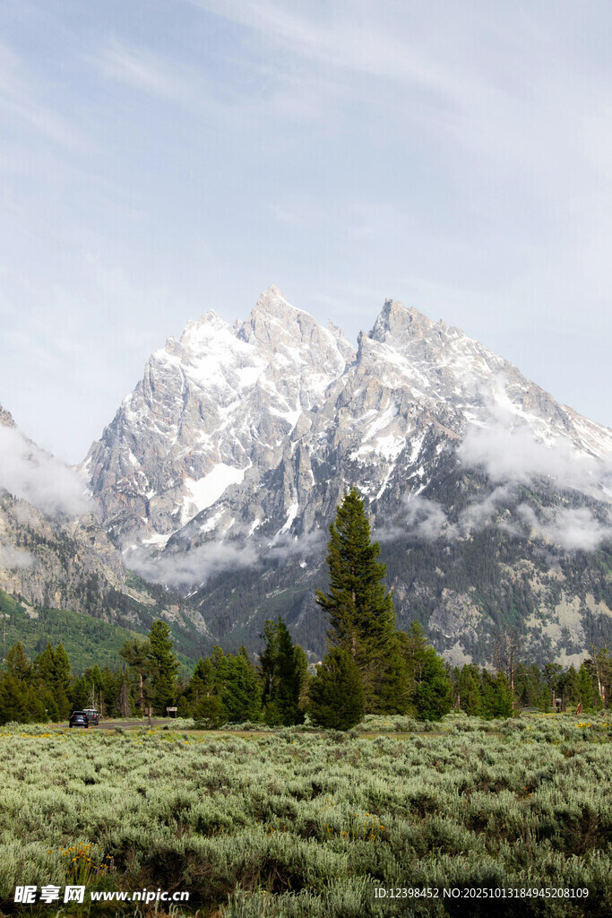 雪山下的葱郁草地景观