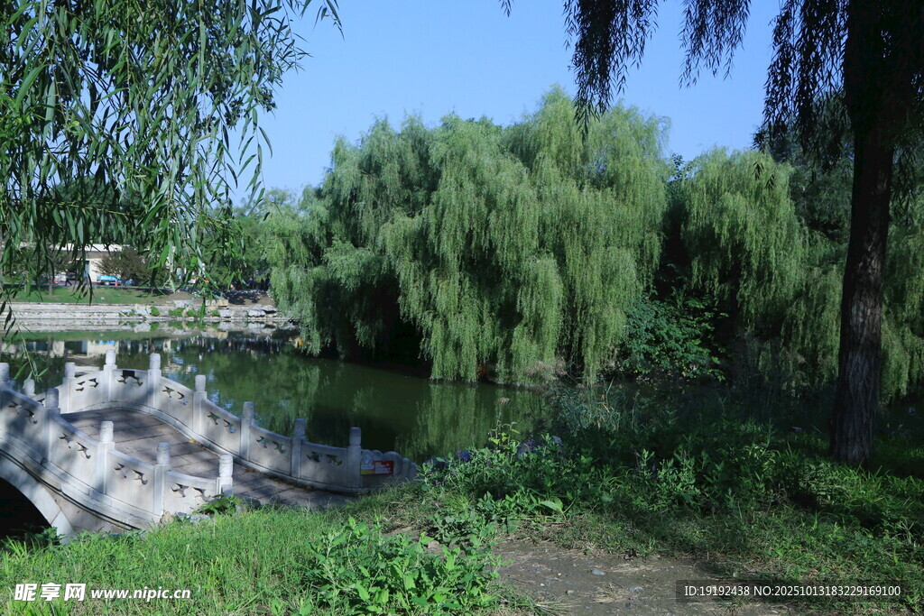 公园风景 