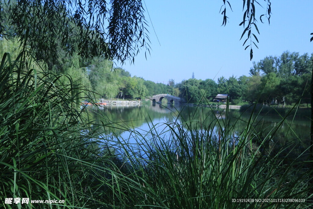 公园风景 
