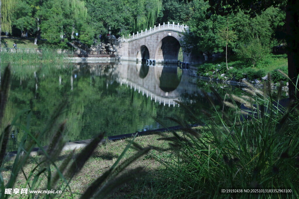 公园风景 