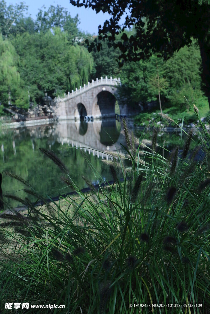 公园风景 
