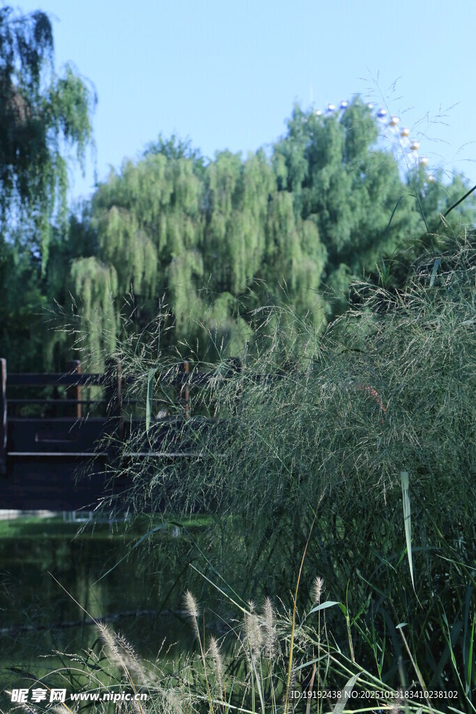 公园风景  